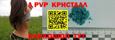 прущий лед Кингисепп