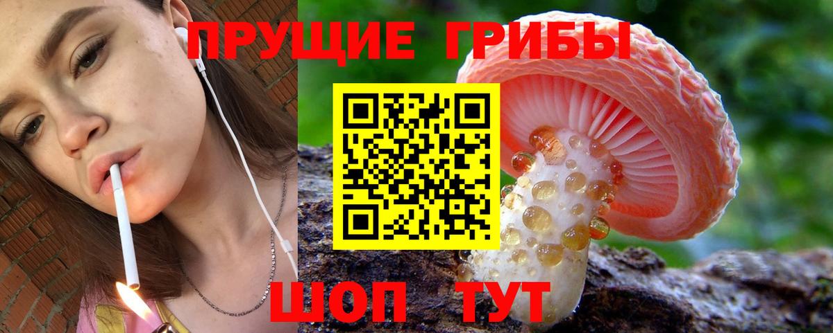 Галлюциногенные грибы MAGIC MUSHROOMS Коряжма